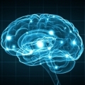 Psychology and neuroscience in learning Psychology and neuroscience in learning